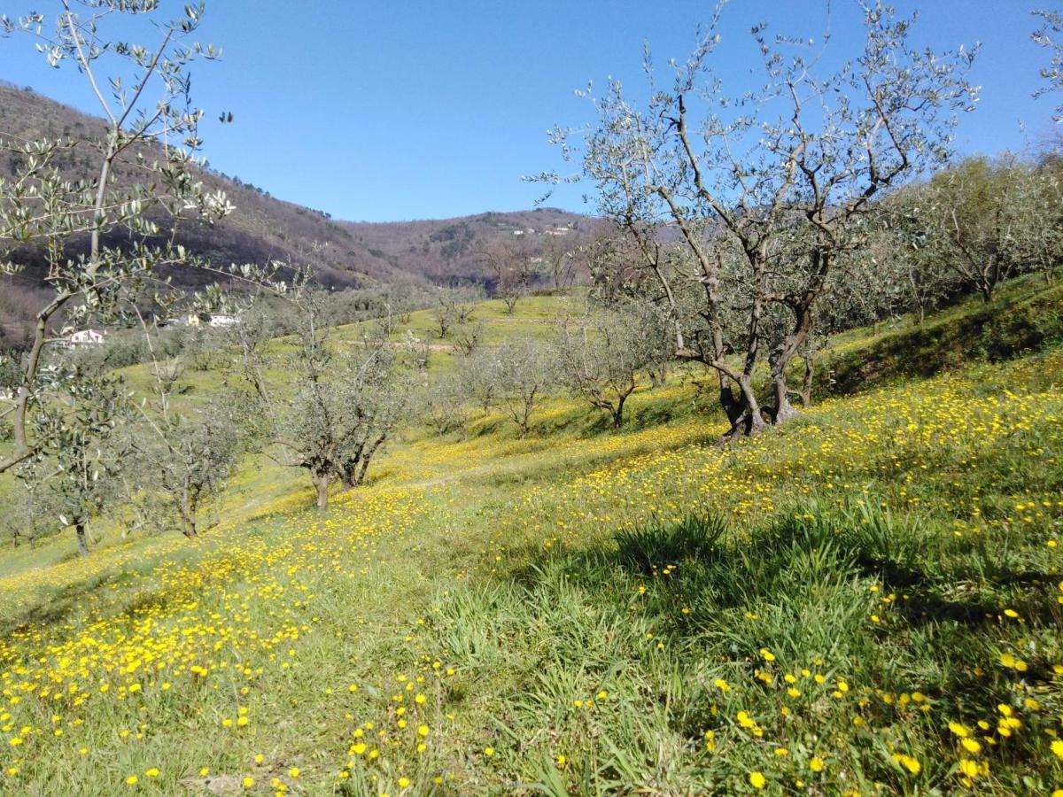 Agriturismo Terrarossa Pistoia Eksteriør bilde
