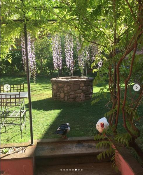 Agriturismo Terrarossa Pistoia Eksteriør bilde