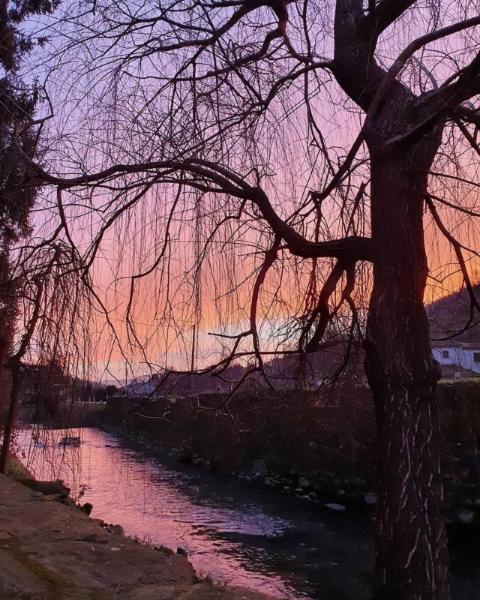 Agriturismo Terrarossa Pistoia Eksteriør bilde