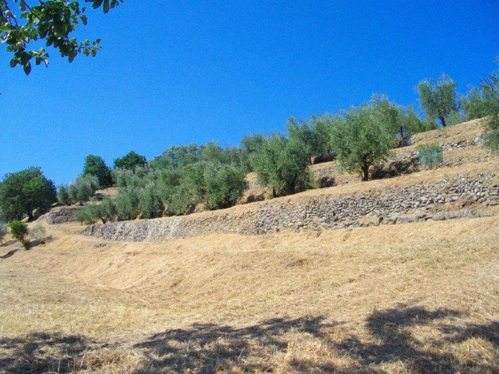 Agriturismo Terrarossa Pistoia Eksteriør bilde