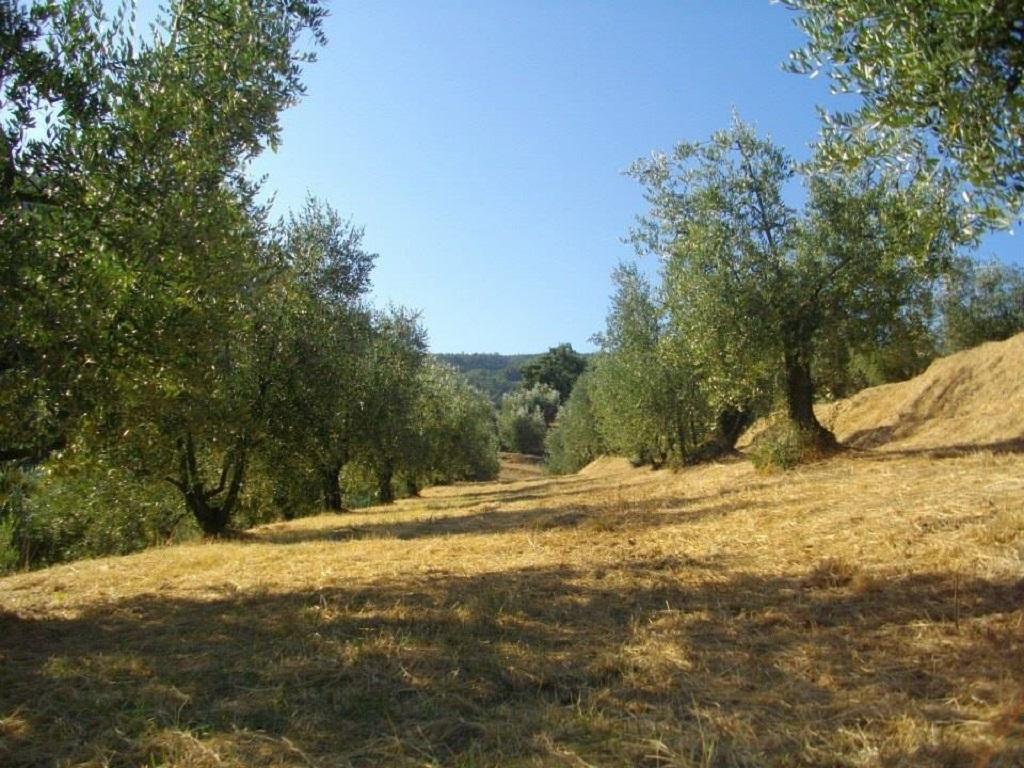 Agriturismo Terrarossa Pistoia Eksteriør bilde