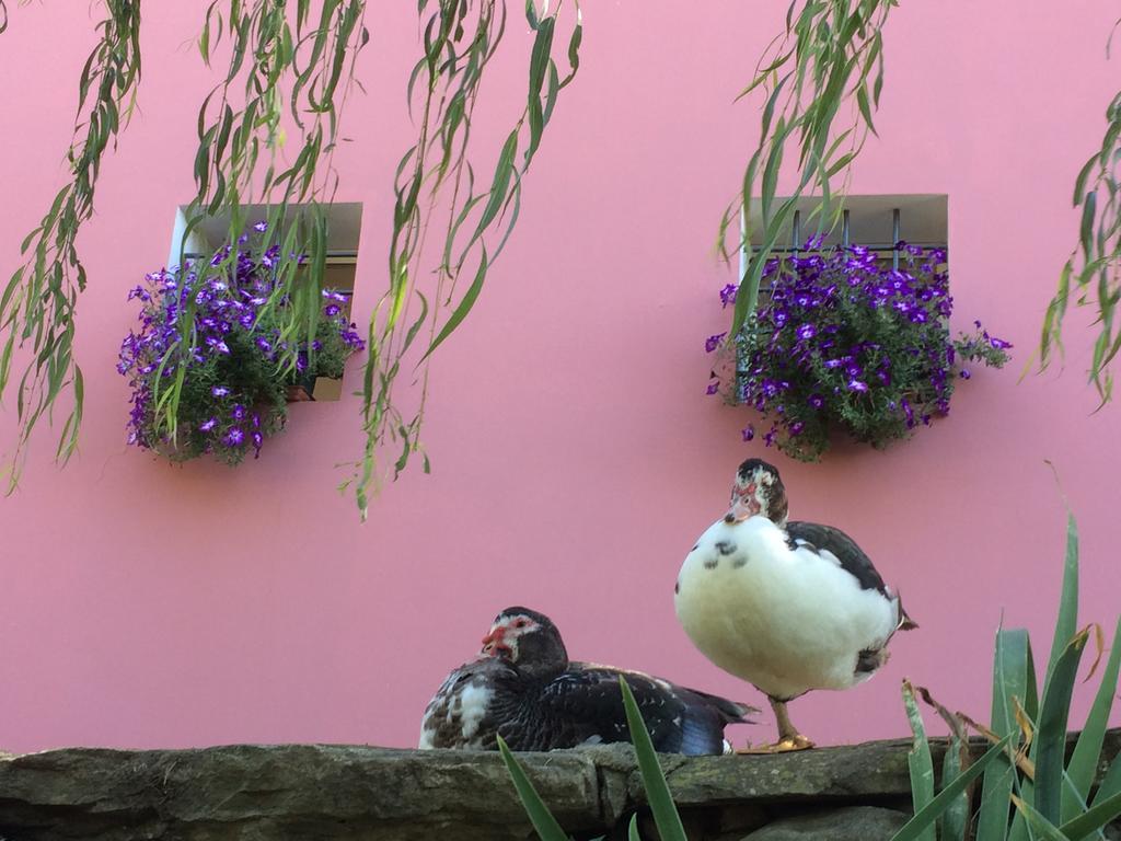 Agriturismo Terrarossa Pistoia Eksteriør bilde