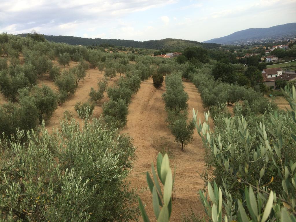 Agriturismo Terrarossa Pistoia Eksteriør bilde