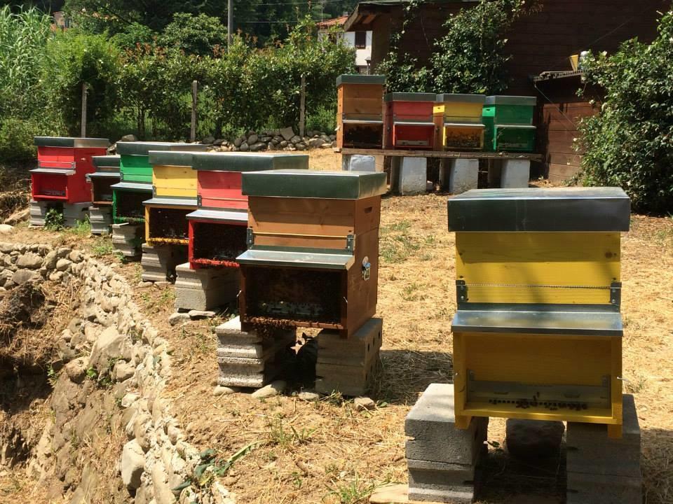 Agriturismo Terrarossa Pistoia Eksteriør bilde
