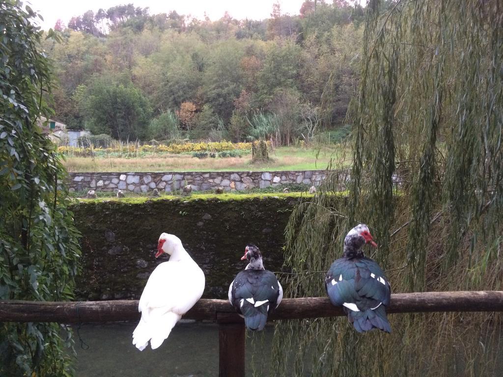 Agriturismo Terrarossa Pistoia Eksteriør bilde